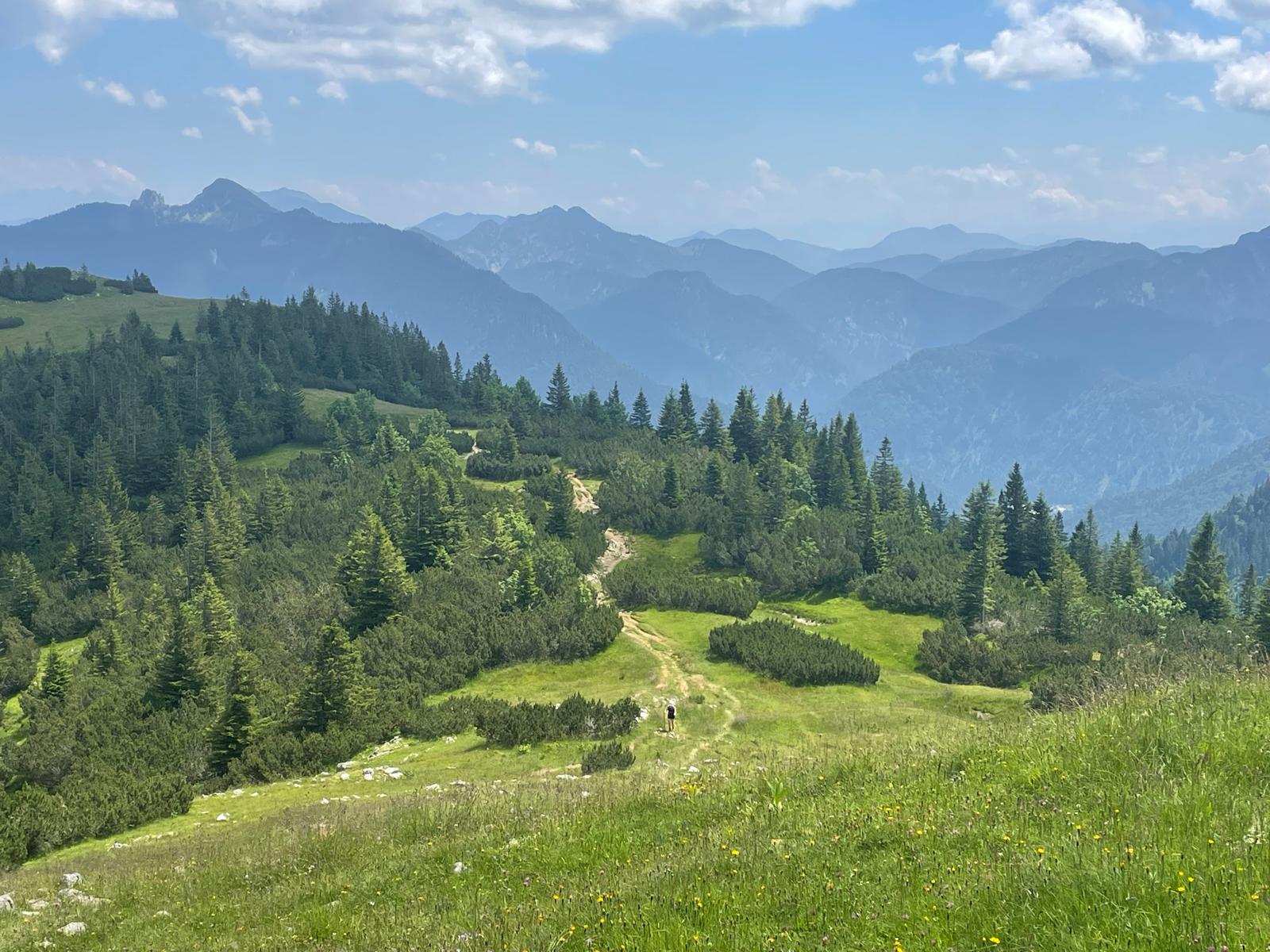 Ein Wanderweg führt durch grüne Bergwiesen und Wald